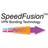 Peplink PepVPN/SpeedFusion 20 Peers License Upgrade